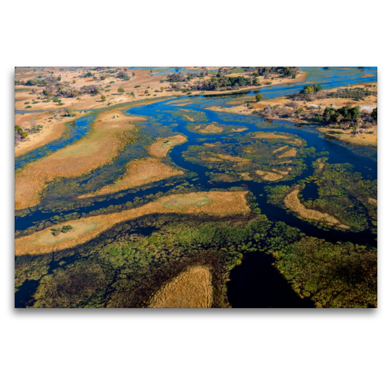 Im Okavango-Delta bei Bukwi Island