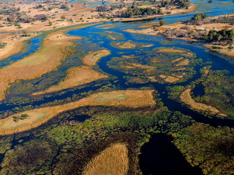 Im Okavango-Delta bei Bukwi Island