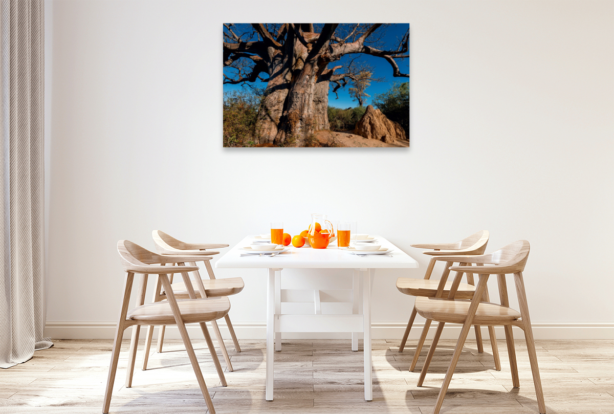 Riesiger Baobab in den Makgadikgadi Pans