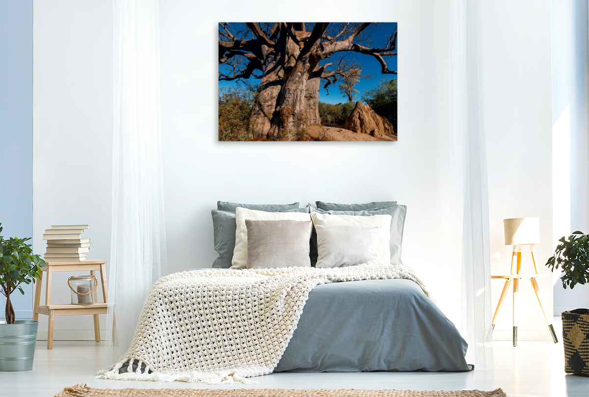 Riesiger Baobab in den Makgadikgadi Pans