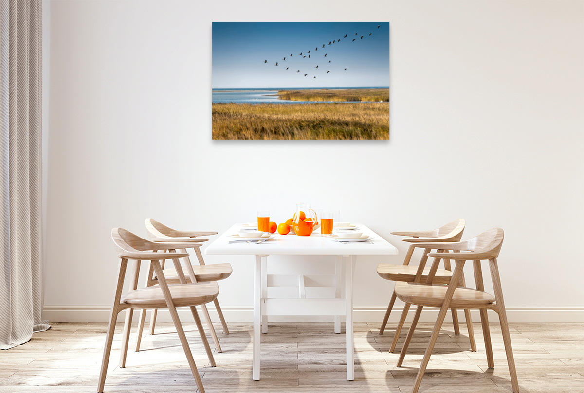 Kranichflug über Boddenlandschaft bei Zingst