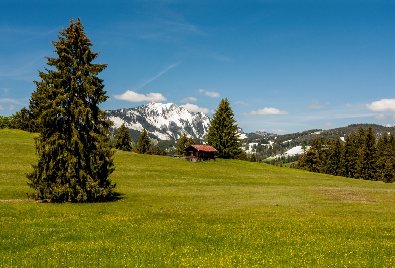 Blick auf den Grünten