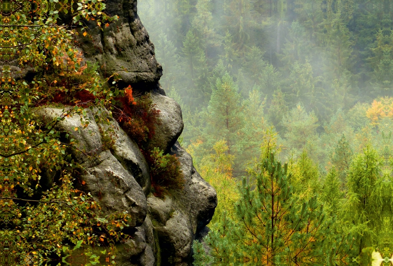 Bizarre Felsformation am Neuen Wildenstein, Kirnitzschtal