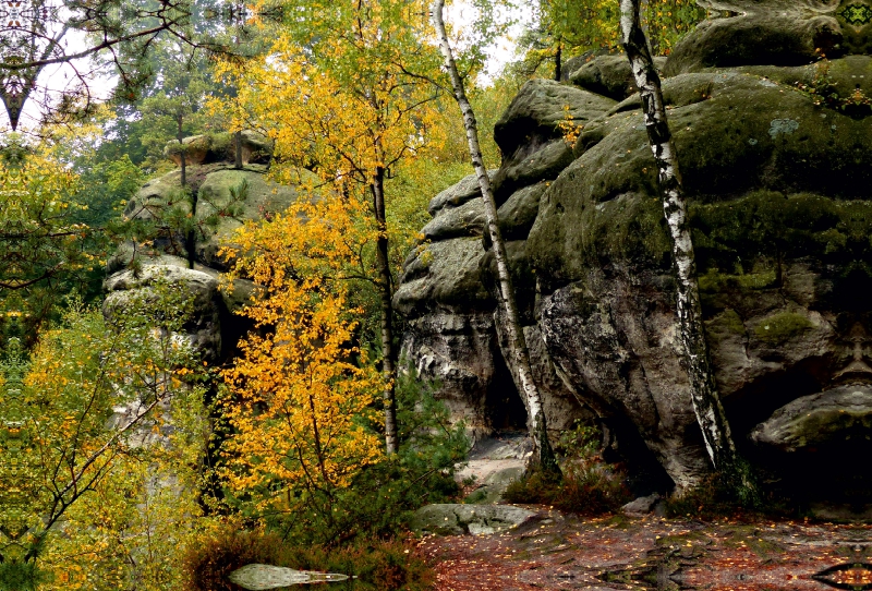 Felsenlabyrinth im Kirnitzschtal, Nationalpark Sächsische Schweiz