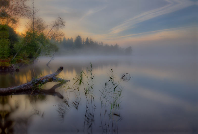 Nebliger Morgen am Kirchsee