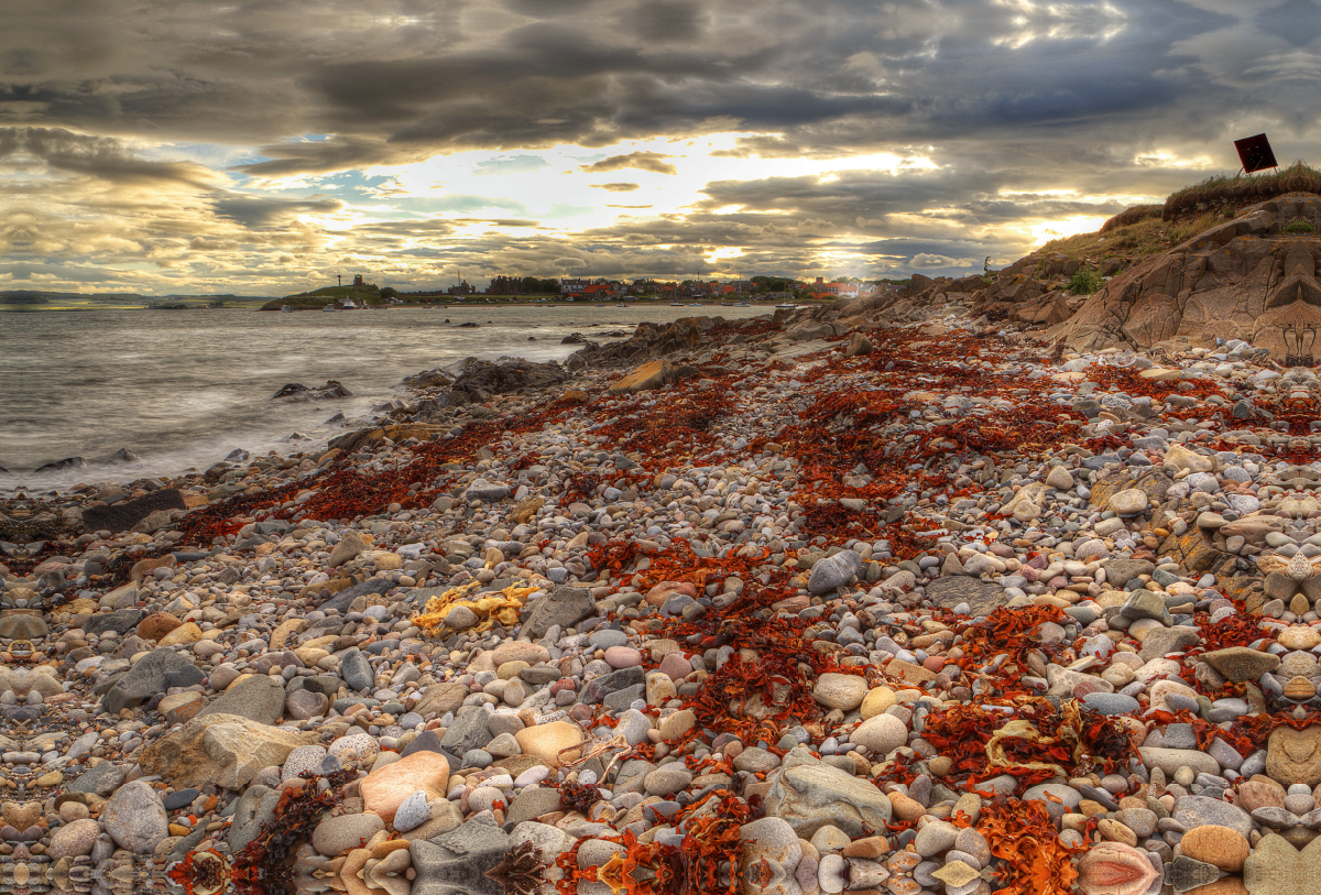 England - Holy Island