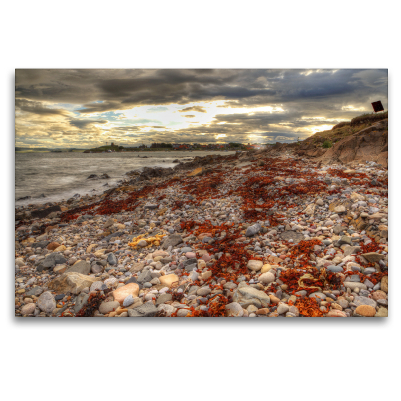 England - Holy Island