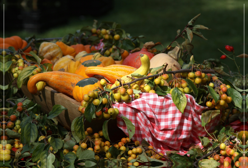 Herbstliches Stillleben