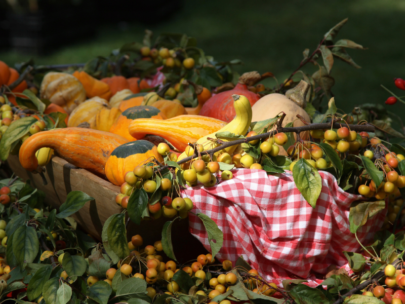 Herbstliches Stillleben