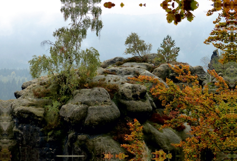 Herbststimmung im Elbsandsteingebirge