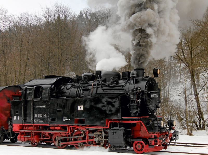 Einheitslok 99 6001 der Selketalbahn