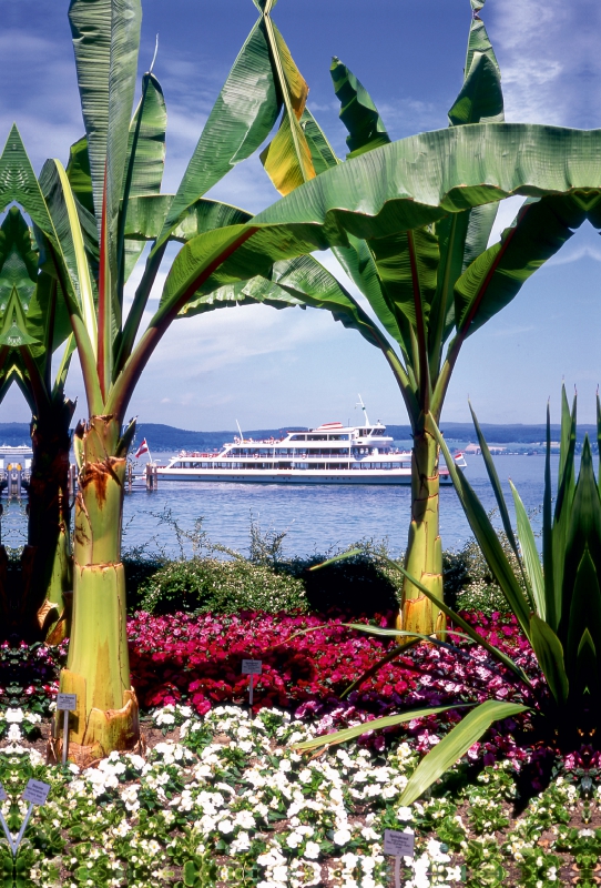 Blick von der Insel Mainau