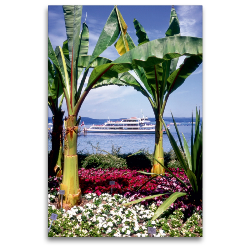 Blick von der Insel Mainau