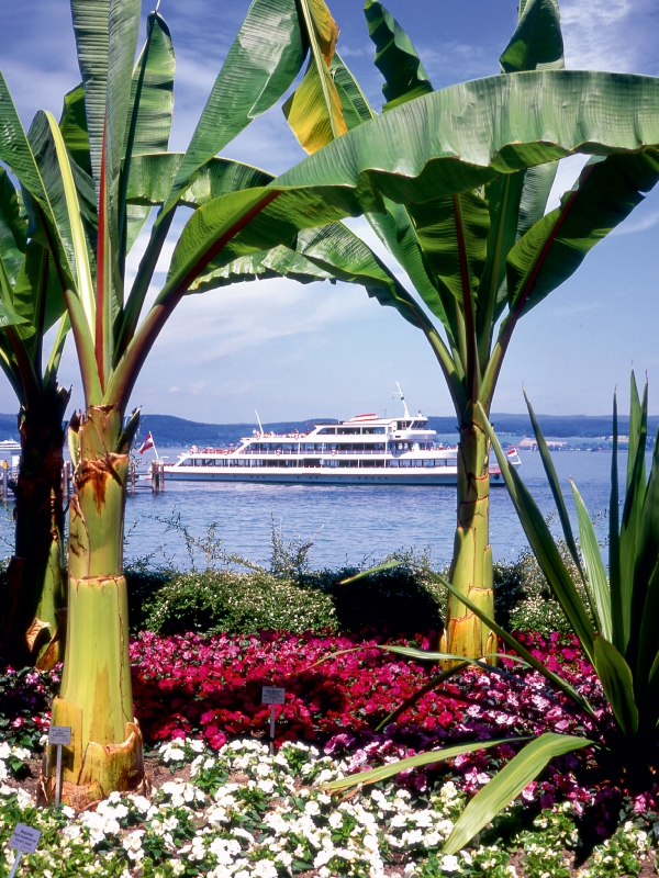 Blick von der Insel Mainau