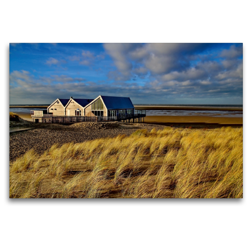 Strand bei De Cocksdorp Eierland