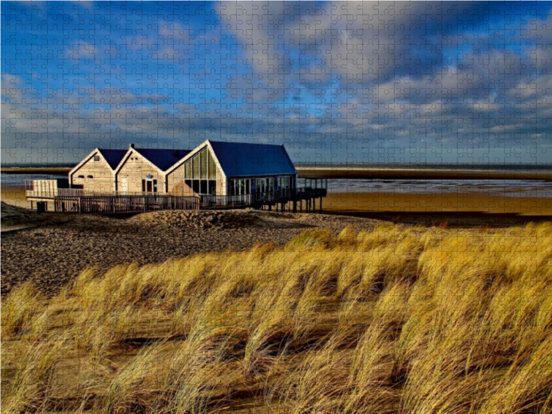 Strand bei De Cocksdorp Eierland