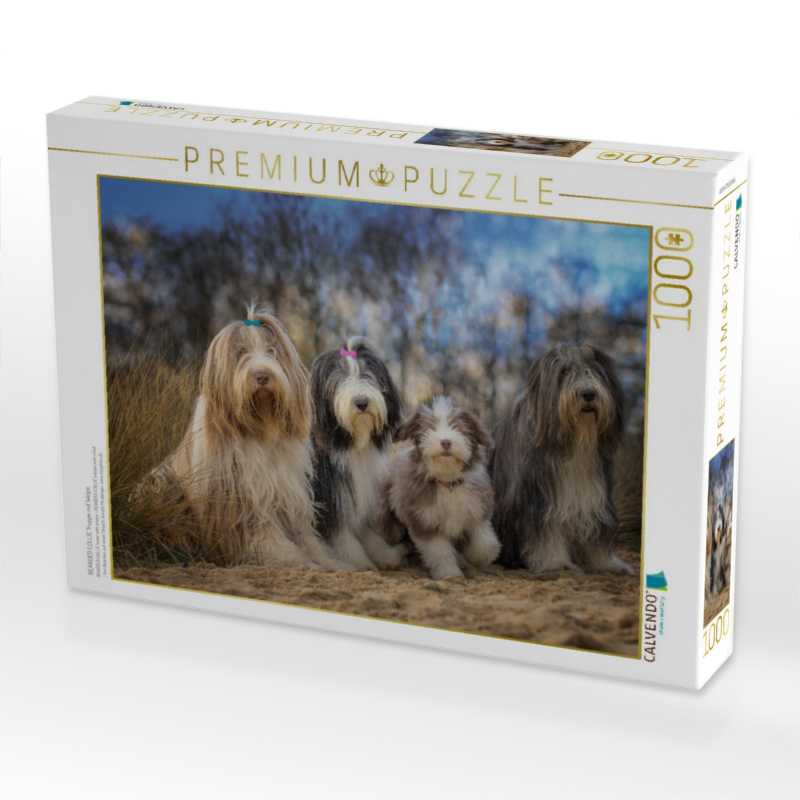 BEARDED COLLIE Truppe mit Welpe