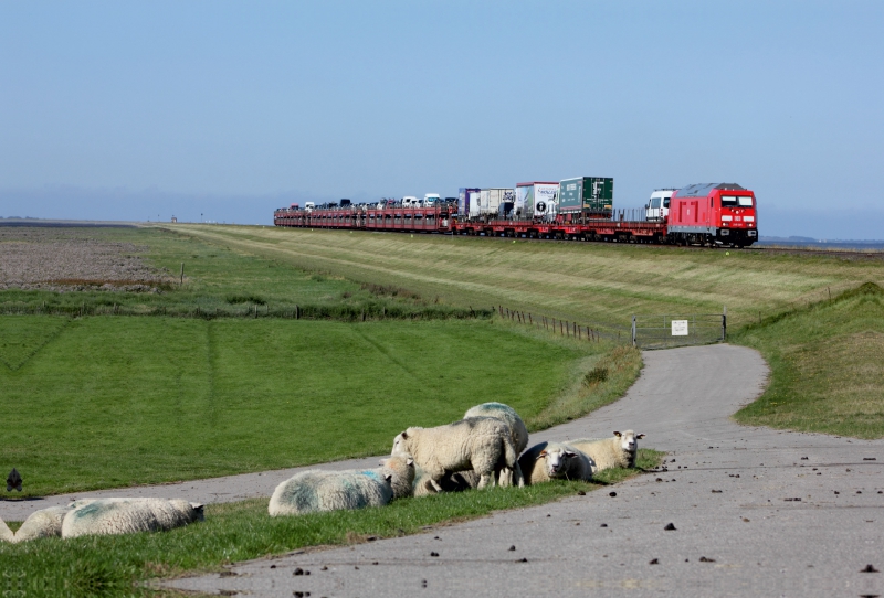 Die neue Baureihe 245 auf dem Hindenburgdamm