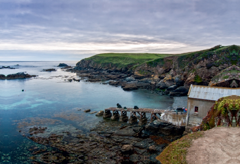 Lizard Point