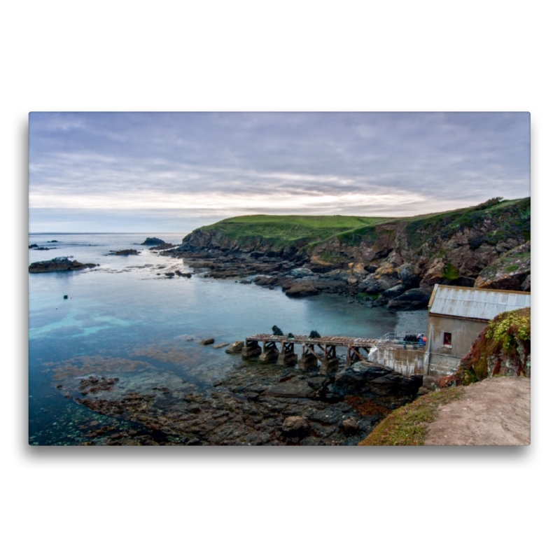 Lizard Point