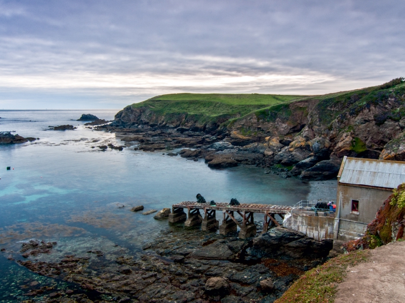 Lizard Point