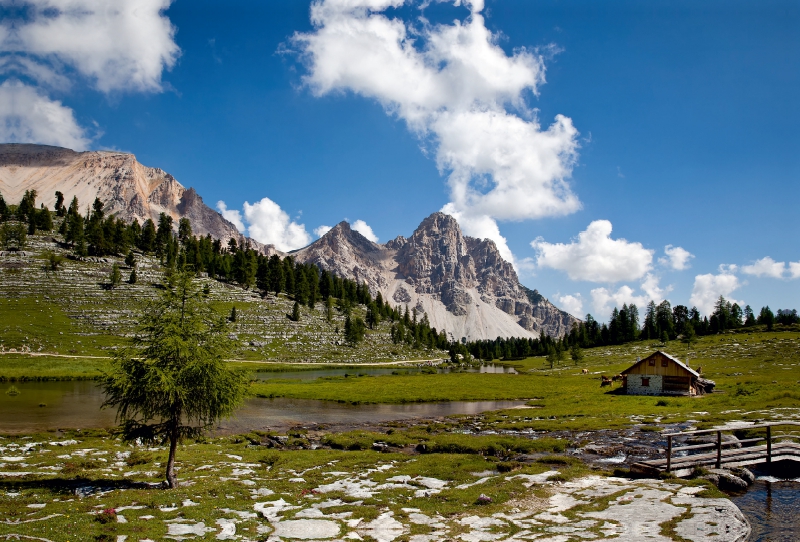 Auf der Fanes Alm