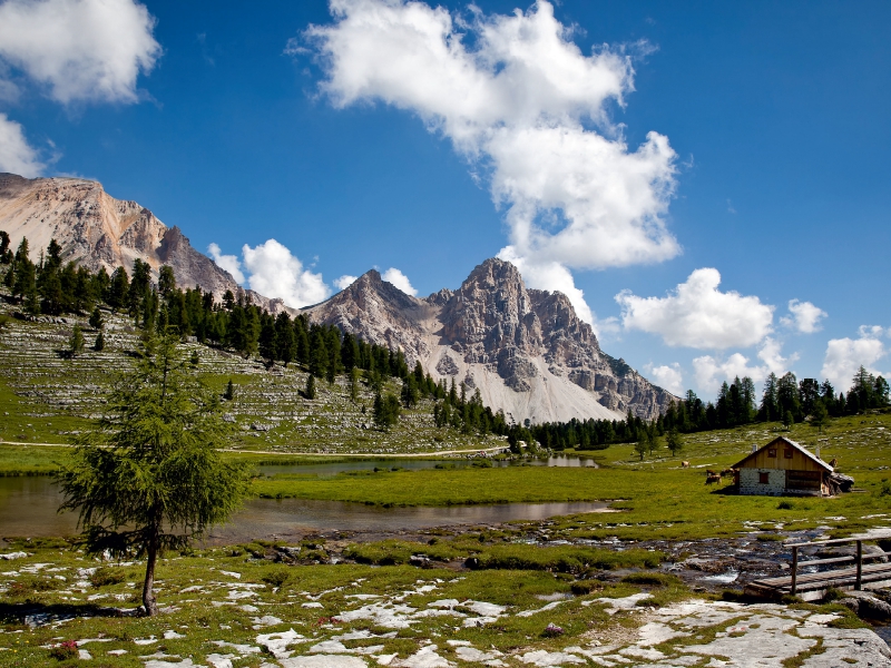 Auf der Fanes Alm