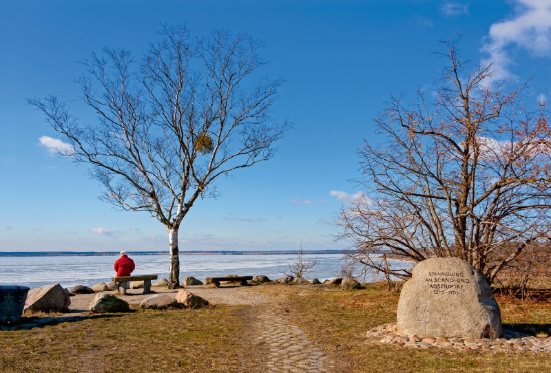 Gedenkstein am Sedlitzer See