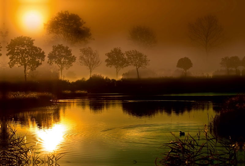 Sonnenaufgang über dem See