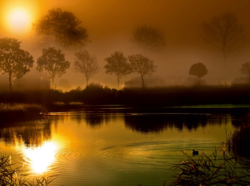 Sonnenaufgang über dem See