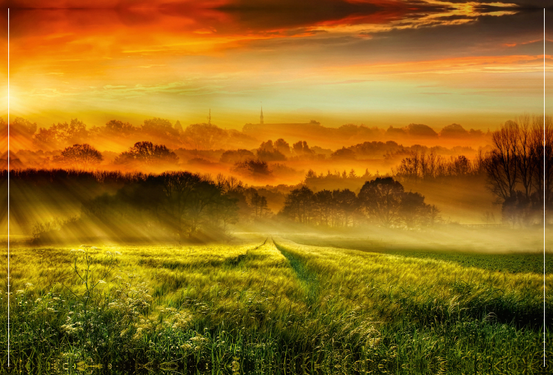 Sonnenaufgang über dem Getreidefeld