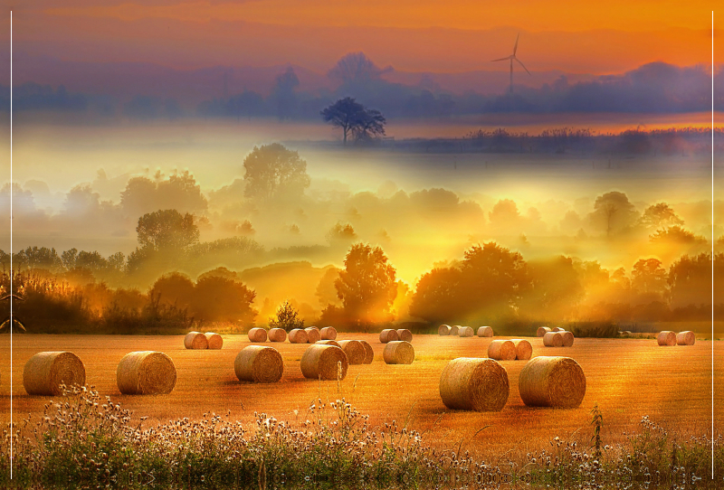 Strohballen auf dem Feld