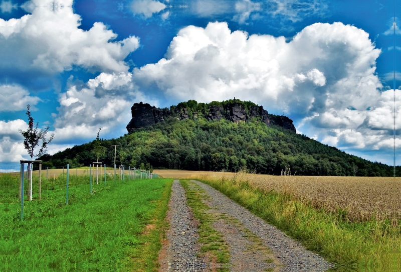 Der Lilienstein