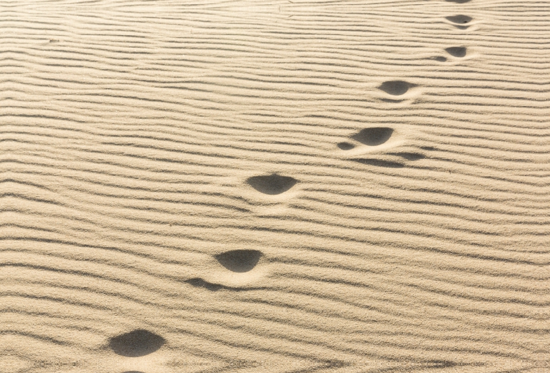 Ein Motiv aus dem Kalender Sylt - Magische Momente