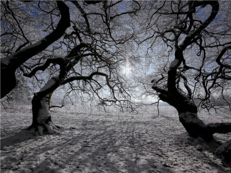 nach Süden zur Wintersonne