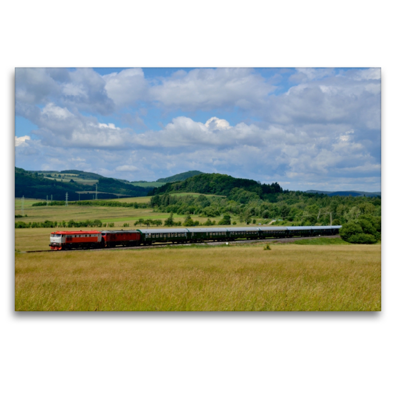 T478.1215 und T478.1010 in Kamenicka Nova Viska am 18.06.2016