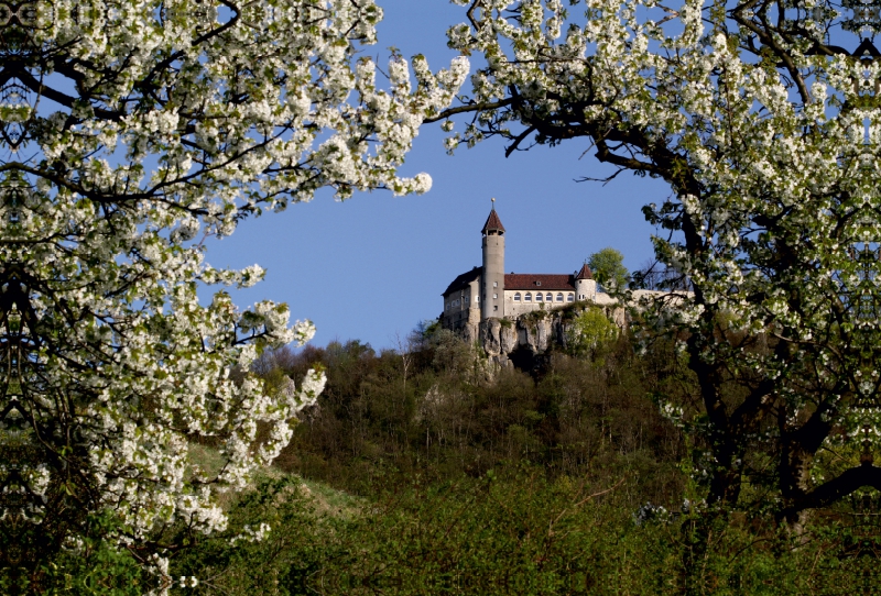 Burg Teck von der Owener Steige