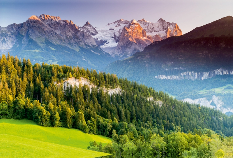 Alpenglühen im Berner Oberland