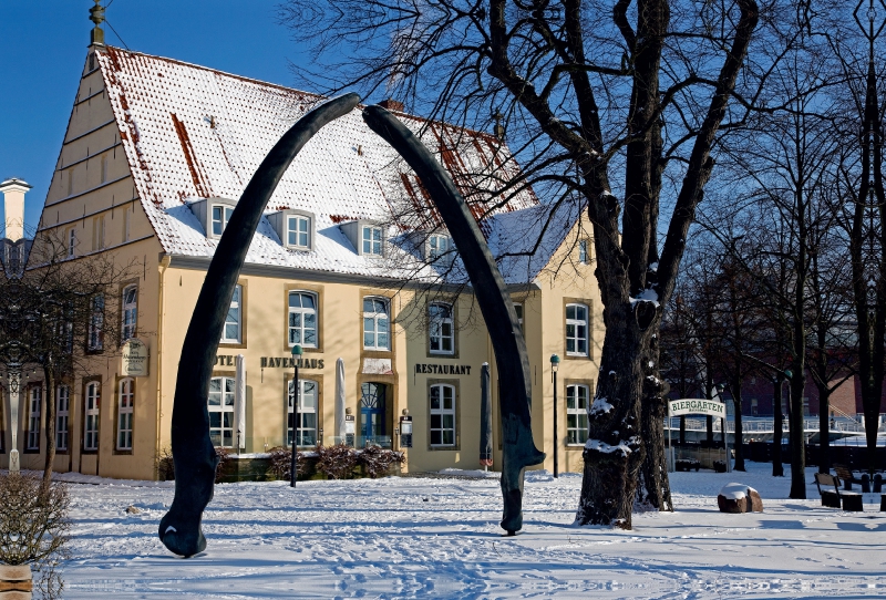 Walkiefer vor dem Hotel Havenhaus