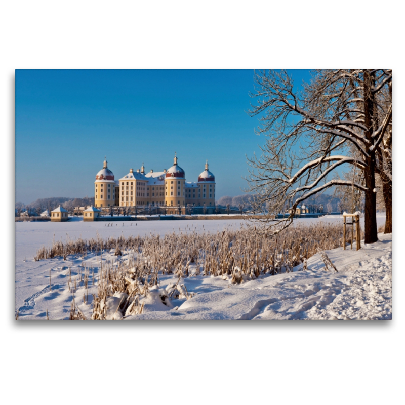 Schloss Moritzburg im Winter, Sachsen