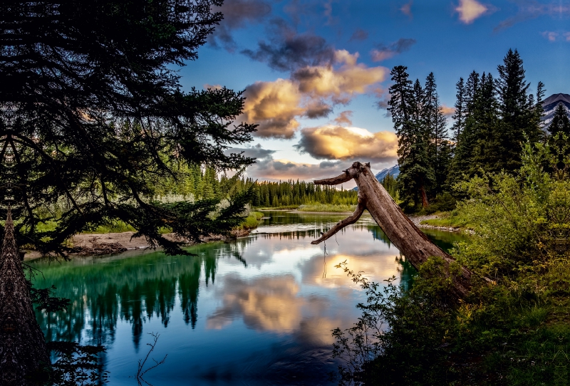 Bow River, Alberta