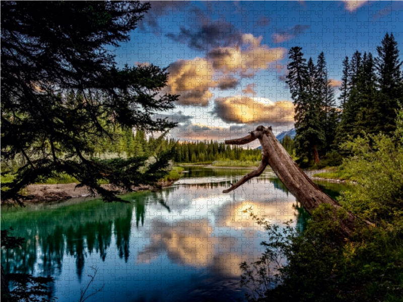 Bow River, Alberta