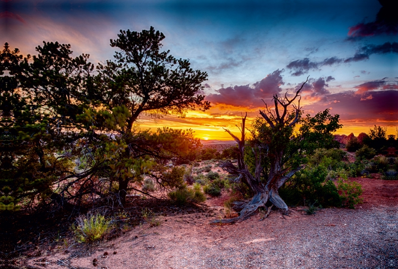 Arches Nationalpark, Utah