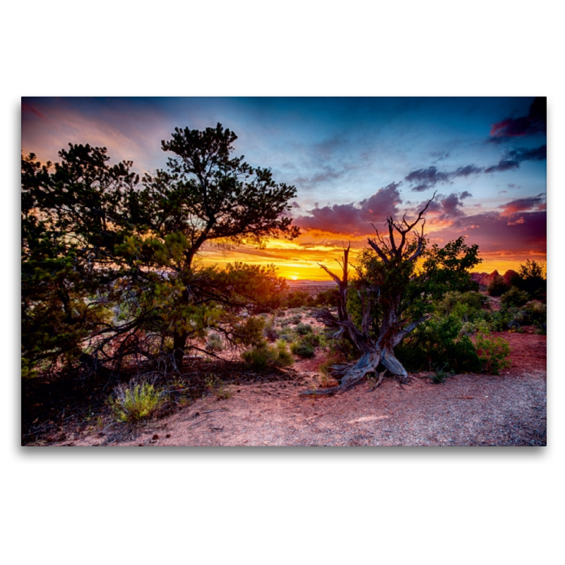 Arches Nationalpark, Utah