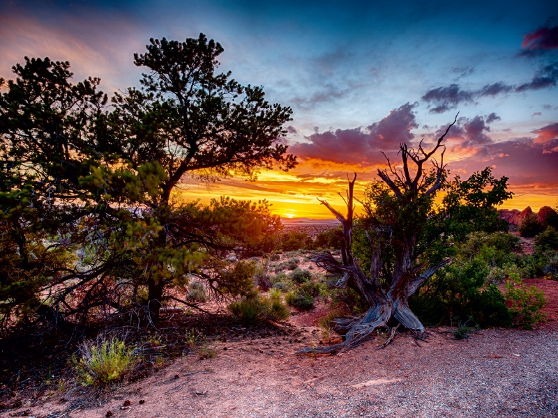 Arches Nationalpark, Utah