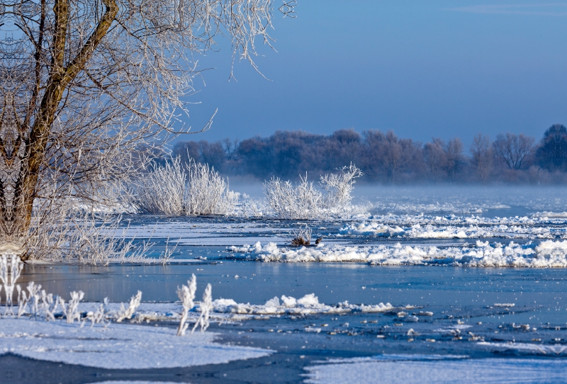 Winterlandschaft Elbe