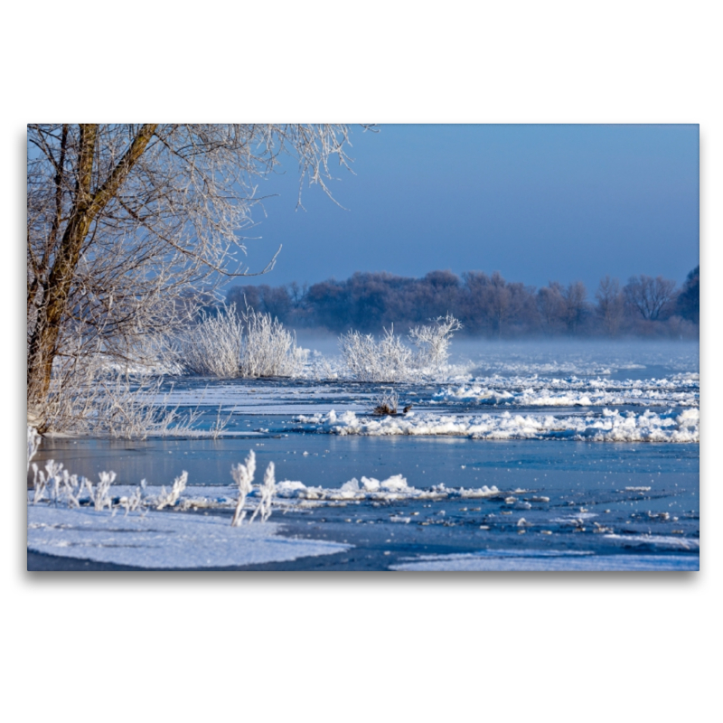 Winterlandschaft Elbe