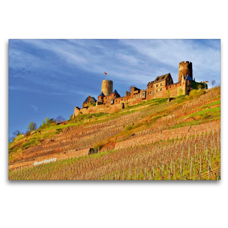 Burg Thurant in Alken an der Mosel