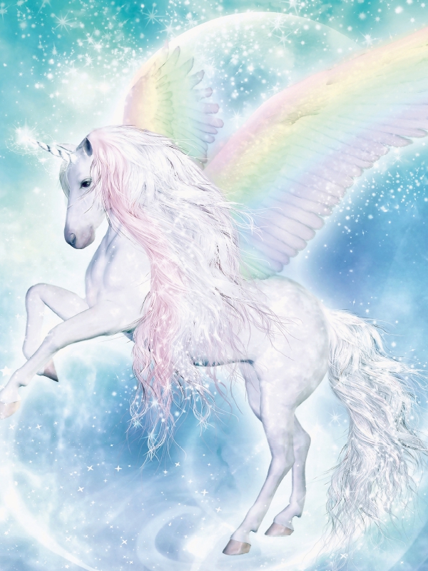 Regenbogen Pegasus