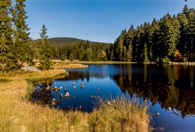 Der Fichtelsee im Fichtelgebirge